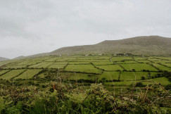 The photo presents green fields divided by hedgerows and stone walls, with scattered houses at the foot of a broad hillside beneath an overcast sky.