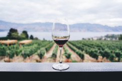 The photo presents a glass of red wine overlooking rows of grapevines, with a lake and mountains in the background.