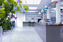 The photo presents a bright, modern café with a long counter, a glass food display, bar stools and colourful pendant lights, with plants in the foreground.