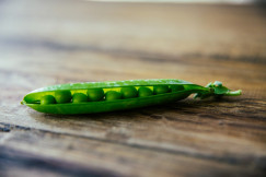 The photo presents an open green pea pod revealing a row of peas on a wooden surface.
