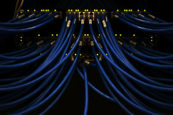 The photo presents network cables connected to servers.