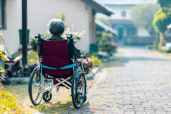 The photo presents an older person viewed from behind in a wheelchair on a sunlit paved path, with houses and plants in the background.