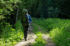 The photo presents a hiker walking through a forest.
