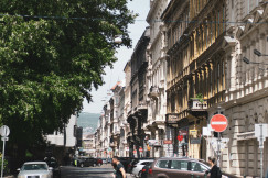 This picture depicts a historic urban streetscape lined with elegant multi-story buildings and mature trees.