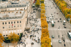 The picture shows a busy Parisian avenue lined with elegant buildings and autumn-colored trees, filled with cars and pedestrians.
