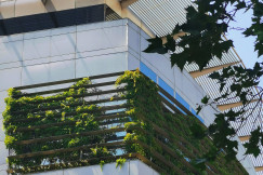 The picture shows a modern multi-storey building that incorporates extensive greenery into its façade and exterior design.