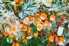 The photo presents discarded fruits, vegetables, and other organic food waste, symbolising food loss and waste.