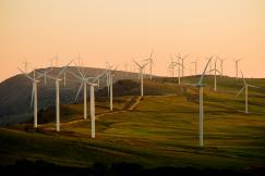 An illustrative photo of windmills on green field