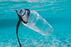 An illustrative photo of a bottle floating in water
