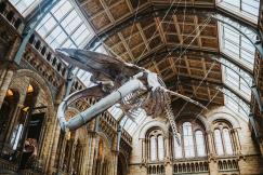 An illustrative photo of a statue of a bird