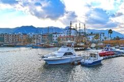 An illustrative photo of a harbor with various boats and ships in Cyprus