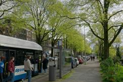 An illustrative photo of a group of people leaving a bus on a green street