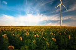 An illustrative photo of sunflower field with renewable wind energy generator 