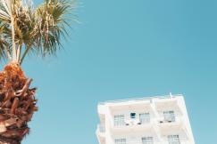 An illustrative photo of a building and a palm under clear blue sky