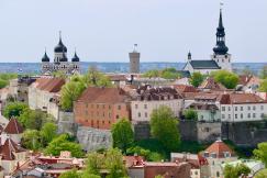An illustrative photo of a view of a city from a hill