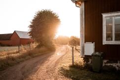 An illustrative photo of sun rays streaming through houses during daytime