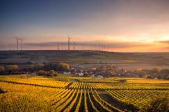 An illustrative photo of a rural landscape during either sunset or sunrise.