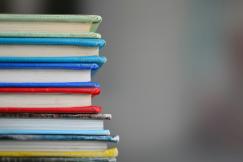 An illustrative photo of books