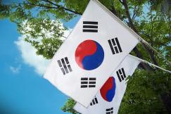 An illustrative photo of a South Korean flag