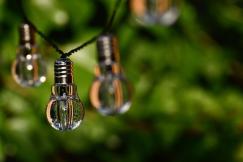An illustrative photo of a collection of lightbulbs