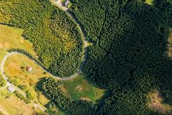 An illustrative photo of a road during daytime