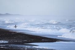 An illustrative photo of a surfer running towards the ocean waves