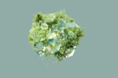 An illustrative photo of a geometric structure made up of reflective glass-like cubes interspersed with green foliage, giving the appearance of nature merging with technology.