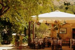 An illustrative photo of the restaurant.
