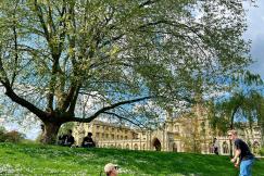 An illustrative photo of a tourist in a punting boat in Cambridge