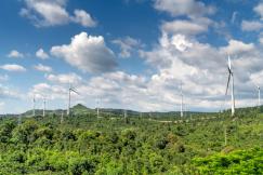 An illustrative photo of wind turbines.