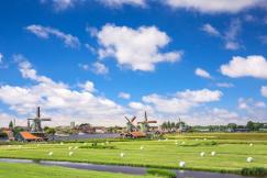 An illustrative photo of green grass field