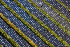 An illustrative photo of a field with solar power plants