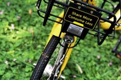 An illustrative photo of a bicycle resting on a lush green grass field 