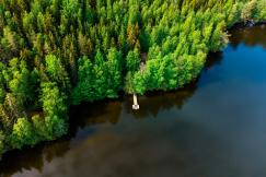 An illustrative photo of a lake surrounded by trees.