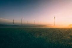An illustrative photo of a peaceful landscape during sunrise.