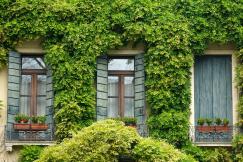 An illustrative photo of windows.