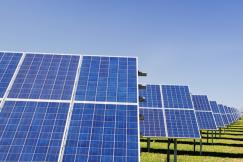An illustrative photo of blue solar panel boards