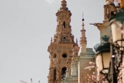 An illustrative photo of pink cherry blossom tree near the cathedral