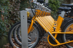 An illustrative photo of a row of yellow bicycles parked in a bike-sharing station. 