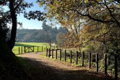 An illustrative photo of a road stretches into the distance.