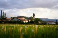 An illustrative photo of a green grass field and houses.