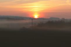 An illustrative photo of a sunset behind the field with pine trees