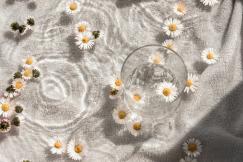 An illustrative photo of a clear glass bowl.