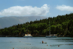 An illustrative photo of a body of water surrounded by trees and boats
