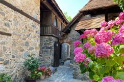 An illustrative photo of pink flowers in front of brown brick house.