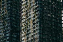 An illustrative photo of high buildings with plants in it