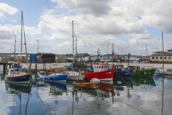 An illustrative photo of boats in a harbor in Ireland