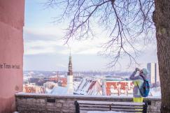 An illustrative photo of a woman drinking near bench under tree with a view on city