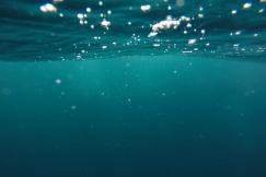 An illustrative photo of an underwater scene