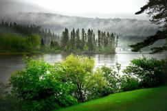 An illustrative photo of a lake in the foggy forest